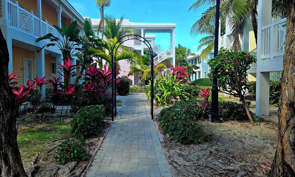 Alice Town Condo | "Serenity" at the Infiniti Pool - Oceanview 2/2 at Resorts World Bimini Bay