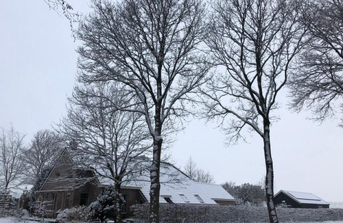 Sellingen Bed & Breakfast | Bed & Breakfast Ter Borg