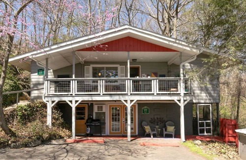 East End - Valley Street Ski Chalet | Upper Berne Chalet 4 Mins to DT AVL, 10 Mins to Blue Ridge Parkway, Dog Friendly