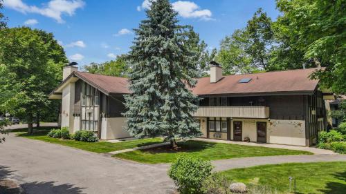 379A Mountain Villa in Boyne Falls
