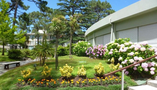 Arcobaleno Anillo 2 in Punta del Este