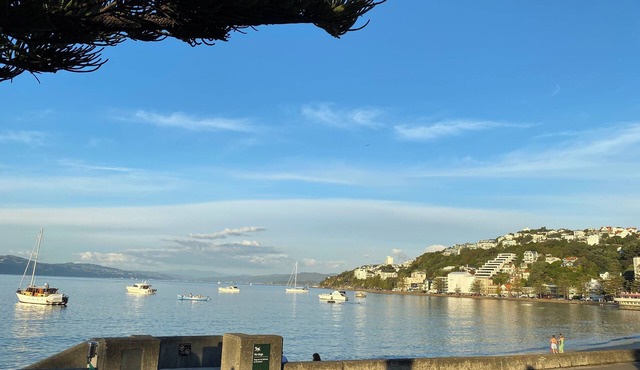 Beach house in Wellington
