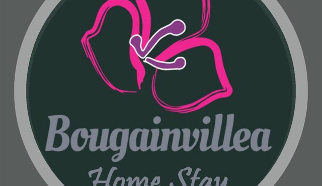 Bougainvillea in Canggu