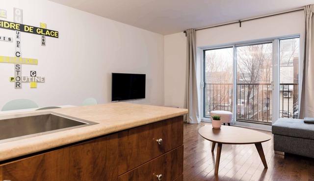 Bright Loft HoMa 308 with Private Rooftop & AC in Montréal