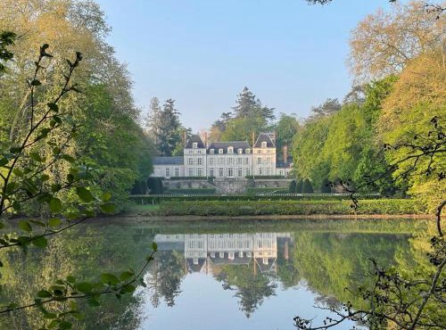 Château du Rondon in Olivet