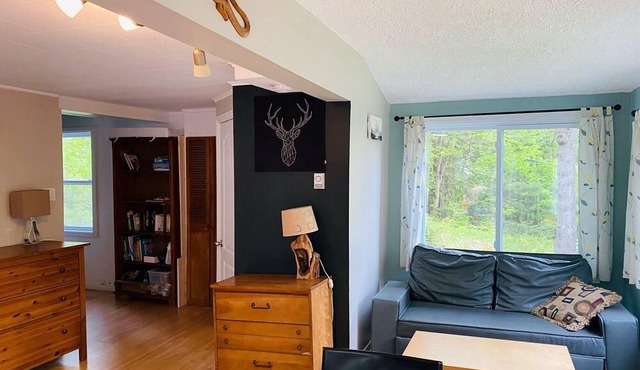 Charmant petit chalet dans la forêt in Saint-Sauveur