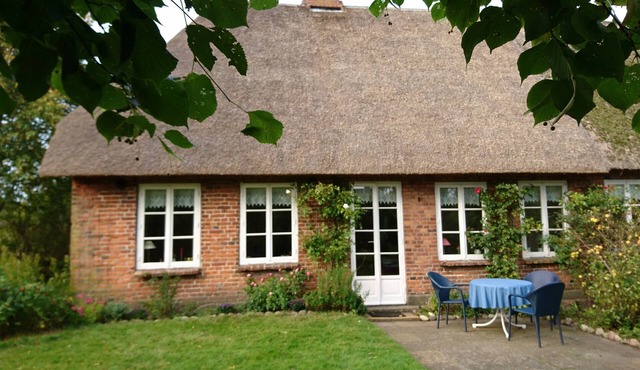Comfortably furnished thatched roof house with a large garden in Wobbenbüll