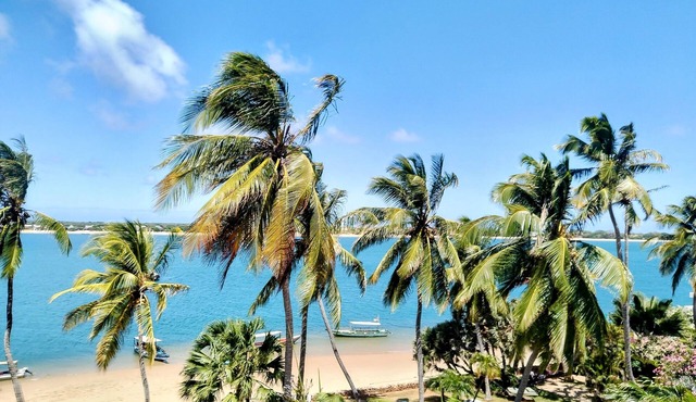 Discover Shela Bliss: Your Family Haven in Lamu's Enchanting Archipelago in Shela