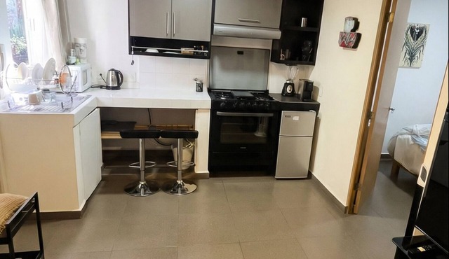 El Alebrije Bedroom Apartment Coyoacán Full Kitchen & 65" TV in Mexico City