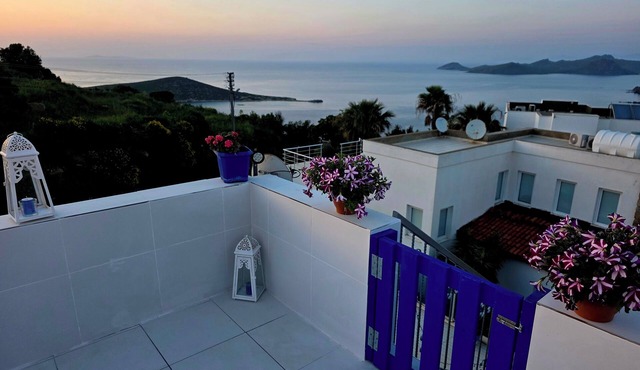Fully Rental Licensed, superbly Equipped Villa - Bar, Pool & Sea Views, Wifi. in Bodrum