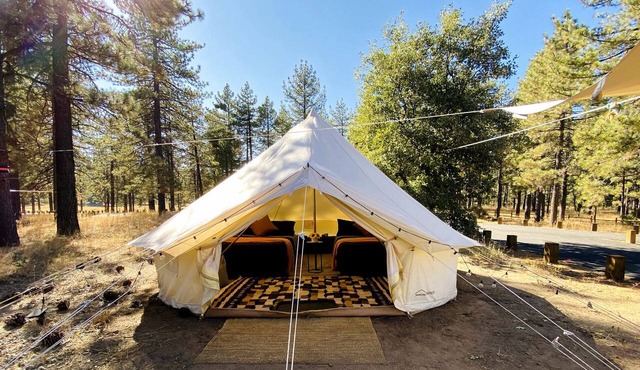 Grand Adventures in Nature: Big Group-Friendly and Original Glamping in California in Mount Laguna