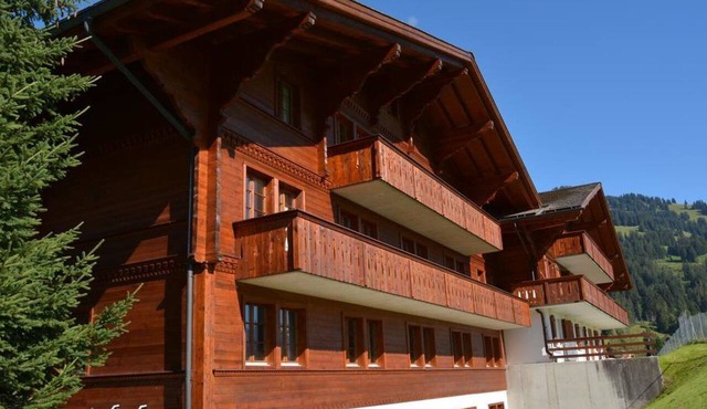 Henry (Hochparterre) Appartement/Fewo, Dusche oder Bad, WC 12-Bettwohnung by Interhome in Gstaad