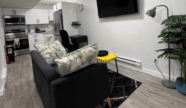 Modern Private Suite in Regina w/Separate Entrance in Regina