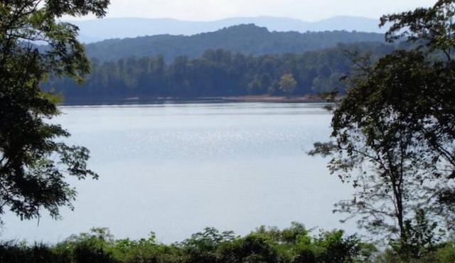 Peaceful lakeview cabin with private dock & dog run in Andersonville