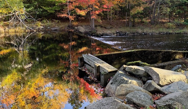 Private cottage on 8 wooded and flower-filled acres at Lake Wentworth and the Wentworth River in Moodys Corner