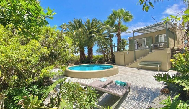 Private villa with pool with amazing views . in La Guancha