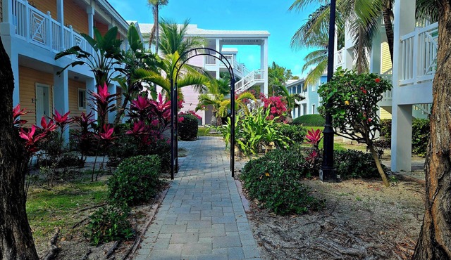 "Serenity" at the Infiniti Pool - Oceanview 2/2 at Resorts World Bimini Bay