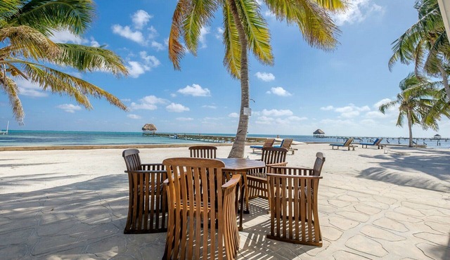 Sunset Beach "A4" - Beachfront, Pool/Ocean View, Kayaks, Bikes, & More! 🏖 in San Pedro Town