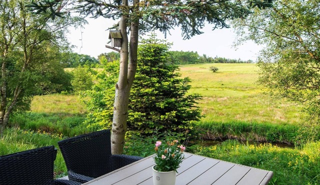 Tranquil Riverside Retreat in Holstebro