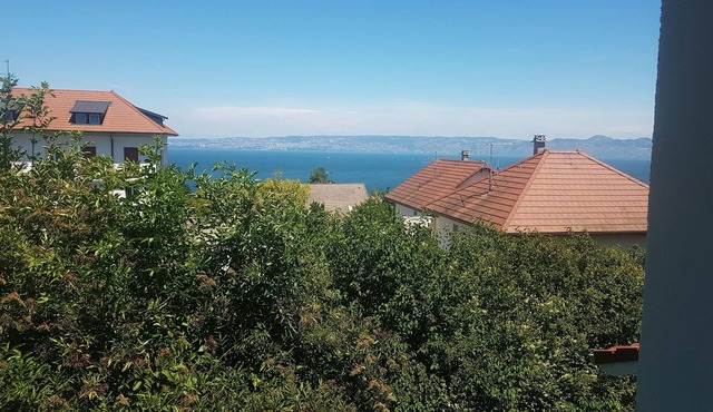 Very pretty Villa Evian/Neuvecelle in Neuvecelle