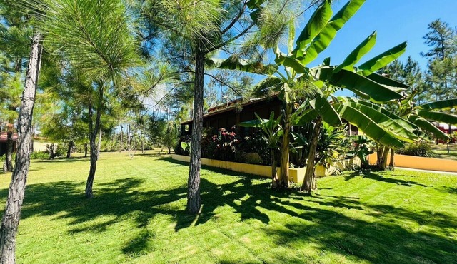 Villa with A/C & Pool in Mountain Pine Ridge. GOLD STANDARD CERTIFIED. in Mountain Pine Ridge