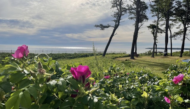 West Chop Sandy Beach, Water Front, 6 BR, Great Views! in Tisbury