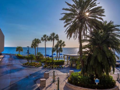 Tampa, FL