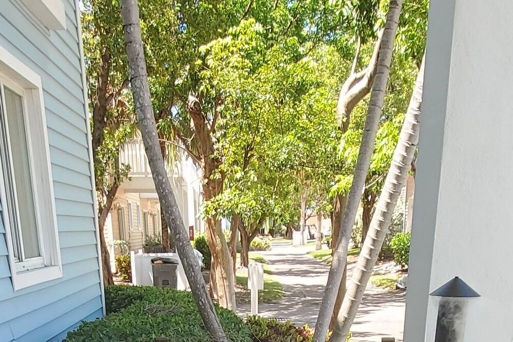 Photo of Outdoor in Alice Town