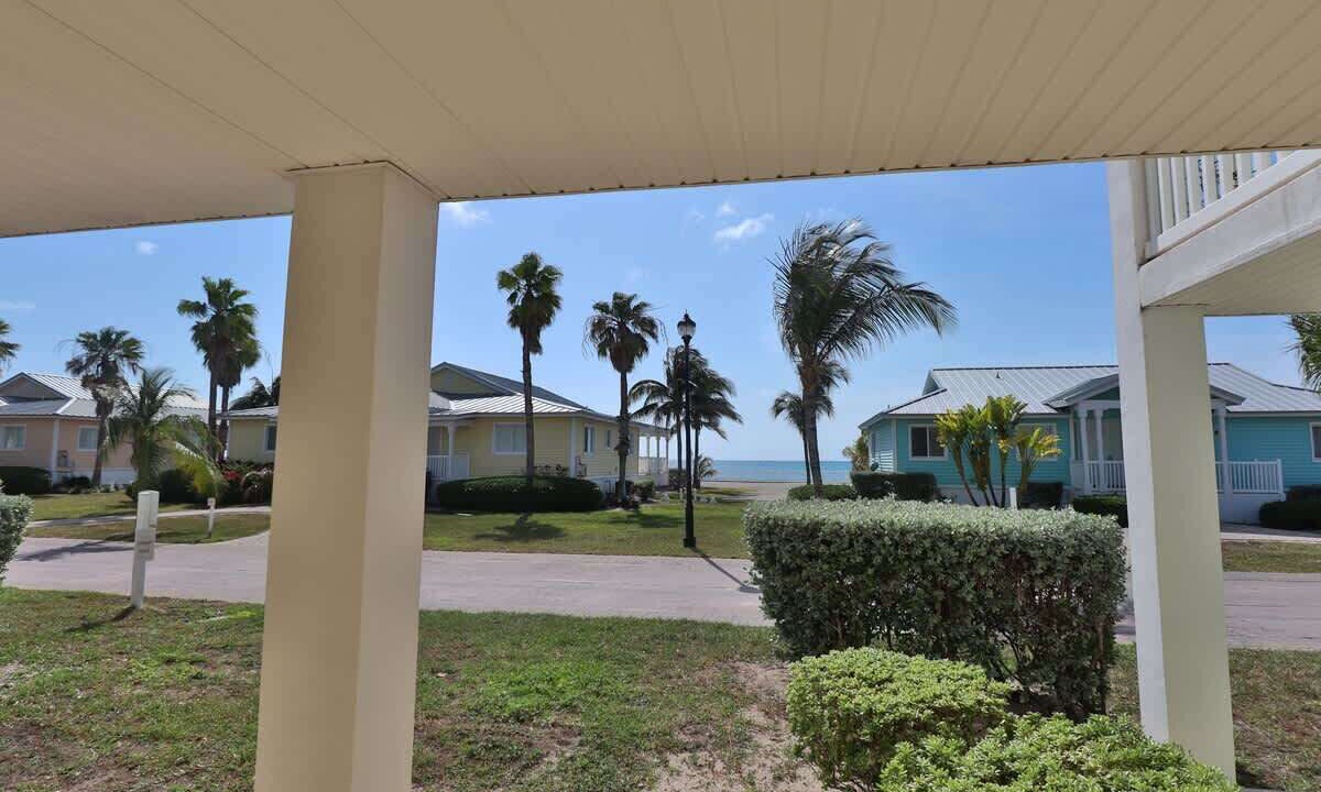 Photo of Outdoor in Alice Town