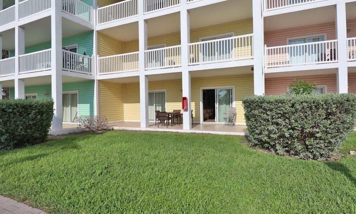 Photo of Outdoor in Alice Town