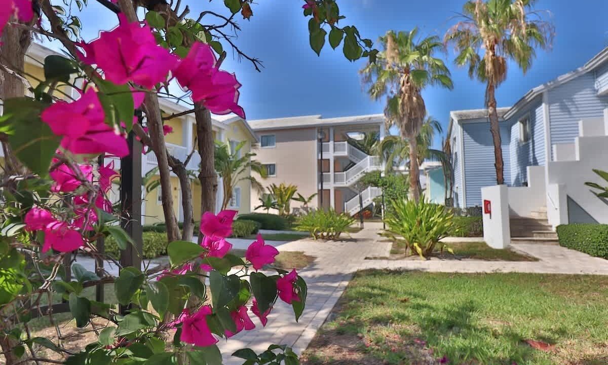 Photo of Outdoor in Alice Town