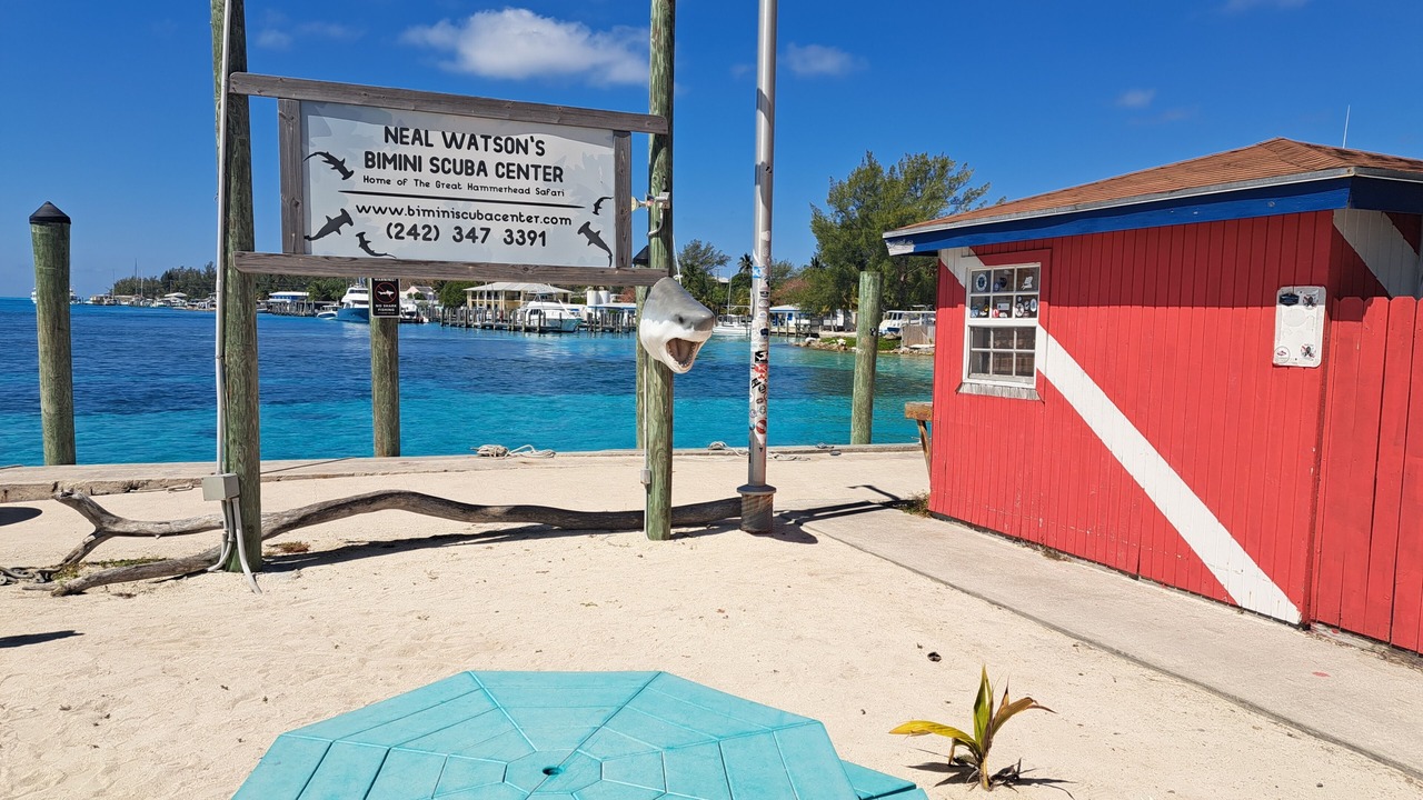 Photo of Outdoor in Alice Town
