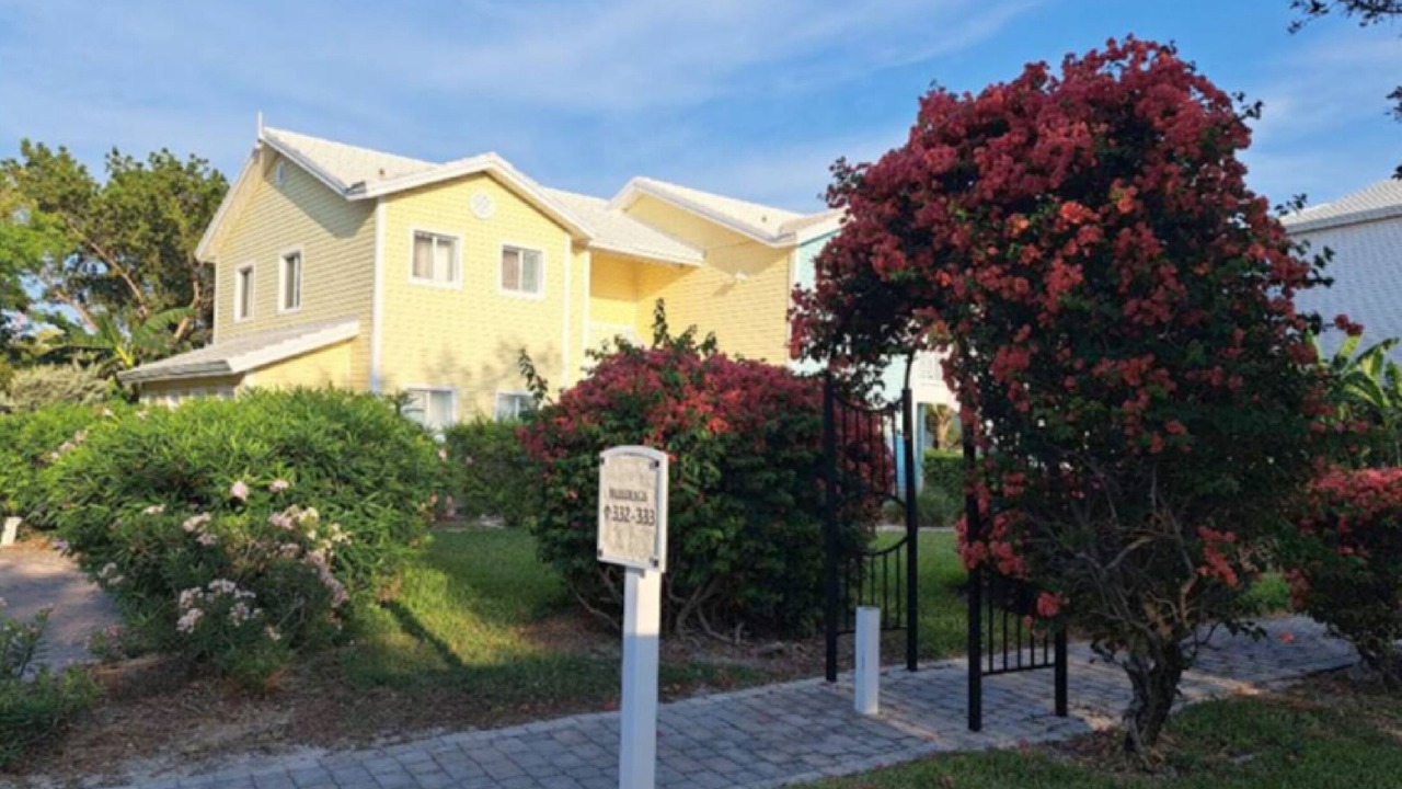 Photo of Outdoor in Alice Town