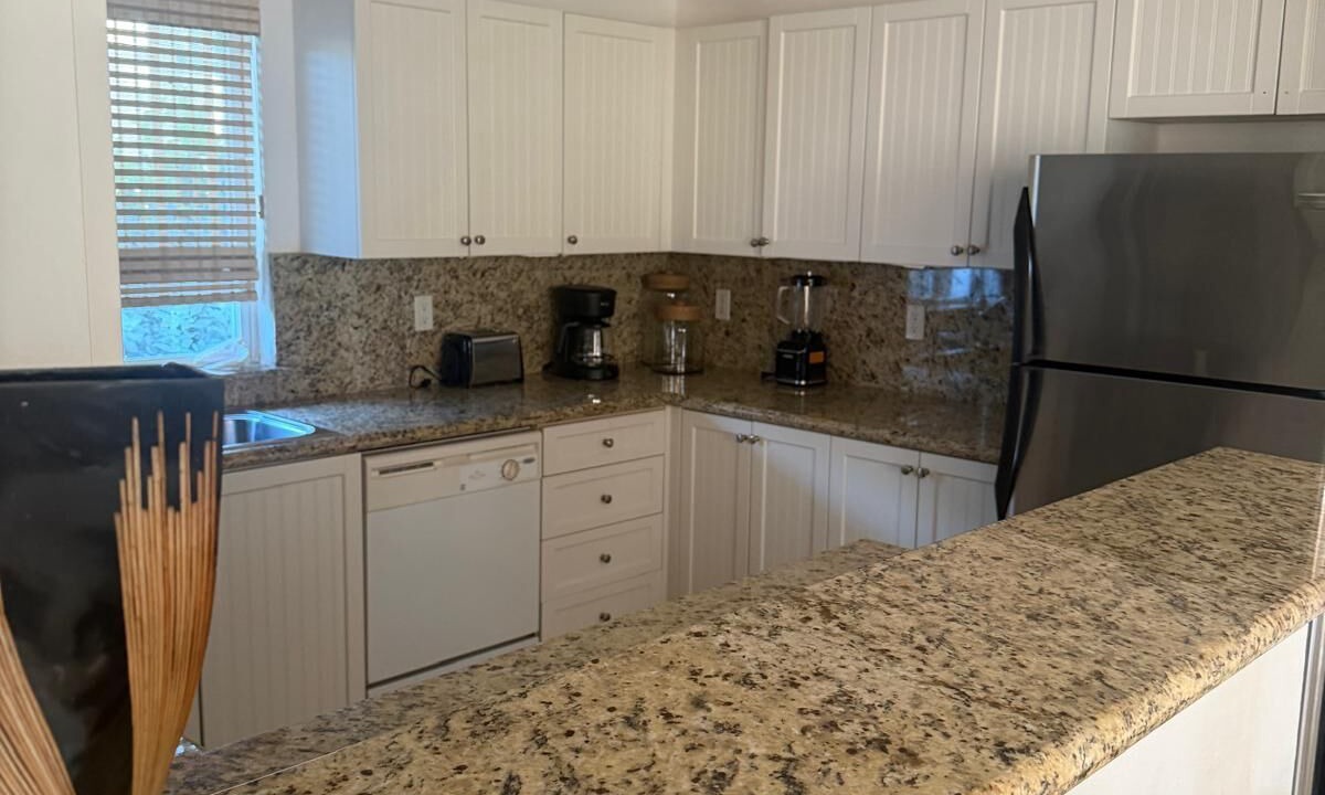 Photo of Kitchen in Alice Town