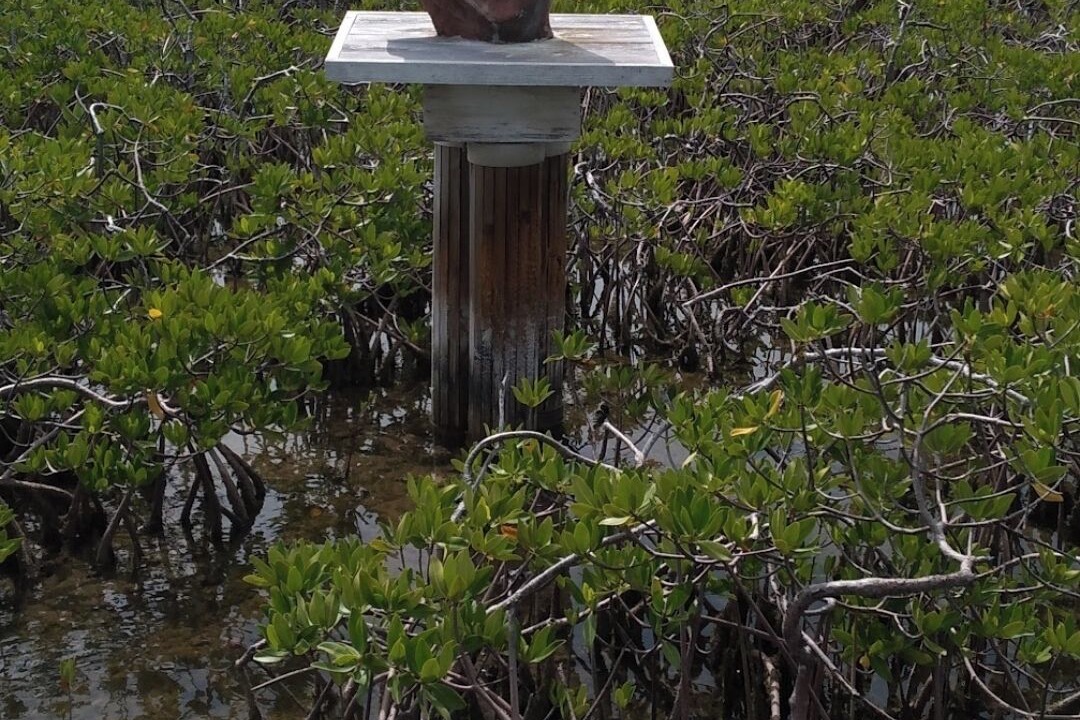 Photo of Others in South Bimini