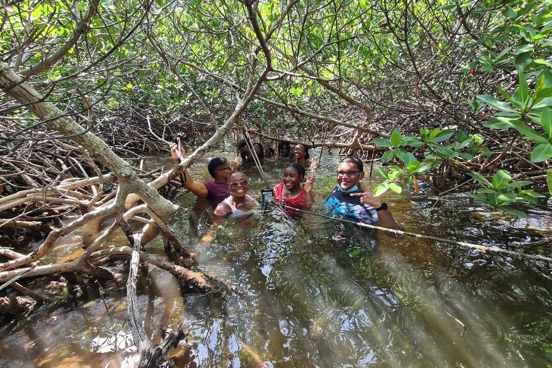 Photo of Others in South Bimini