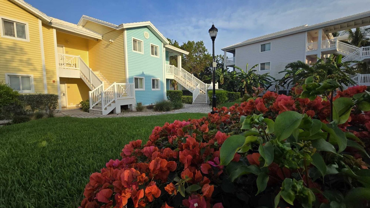 Photo of Outdoor in Alice Town