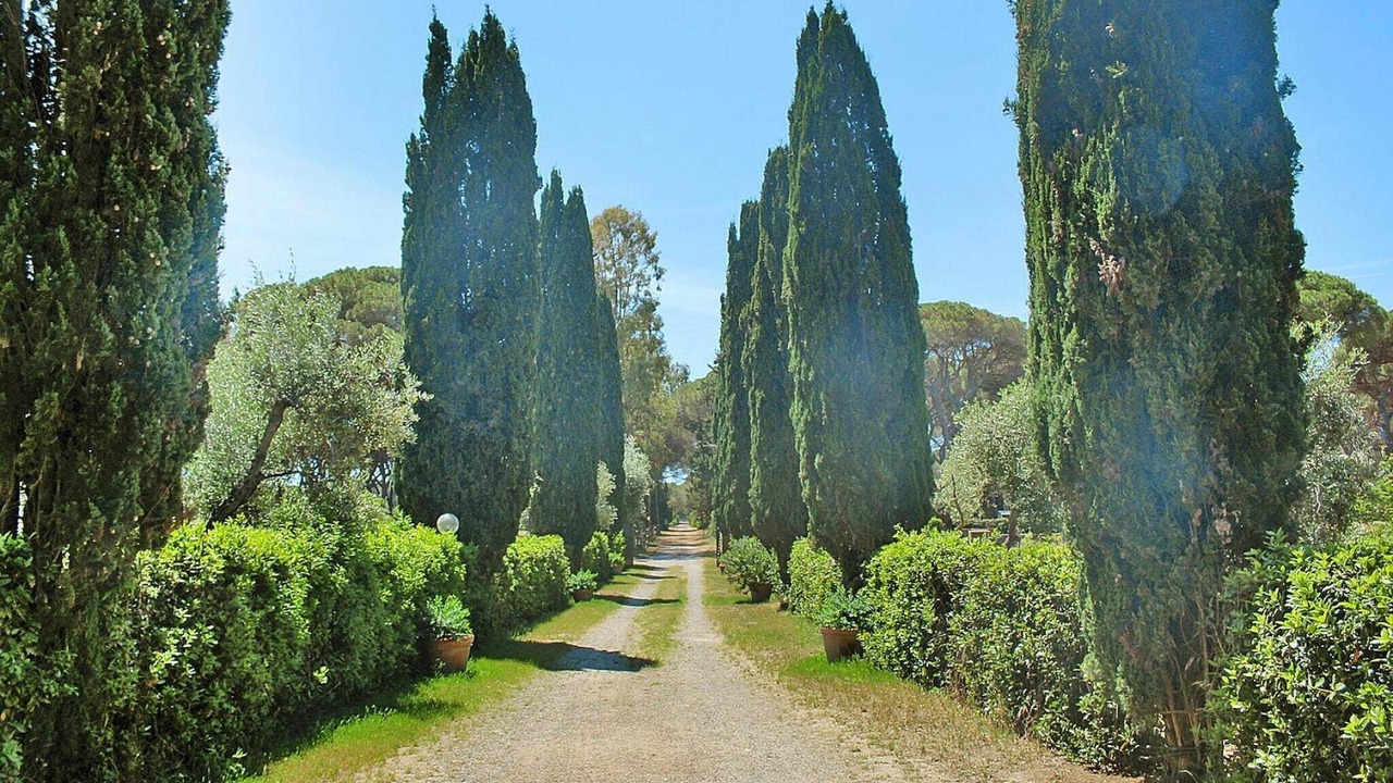 Photo of Others in Marina di Grosseto