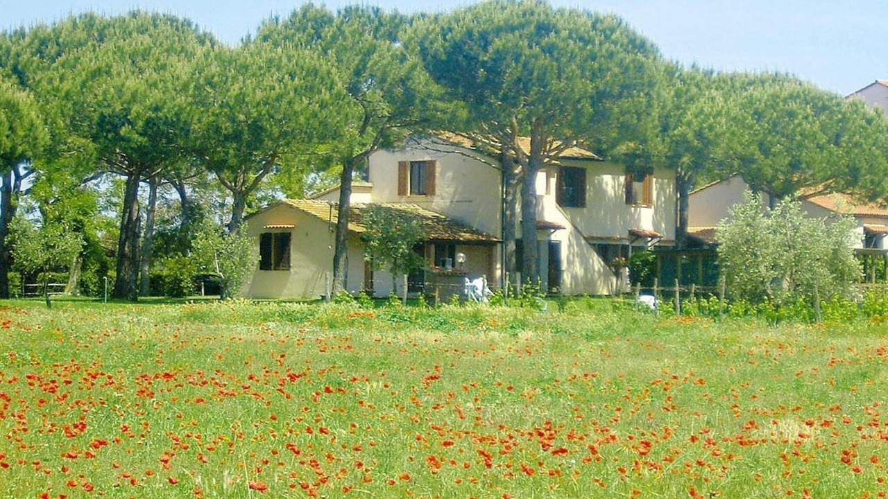 Photo of Others in Marina di Grosseto