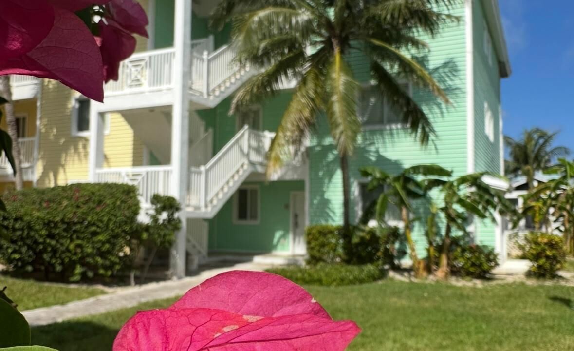 Photo of Outdoor in Alice Town