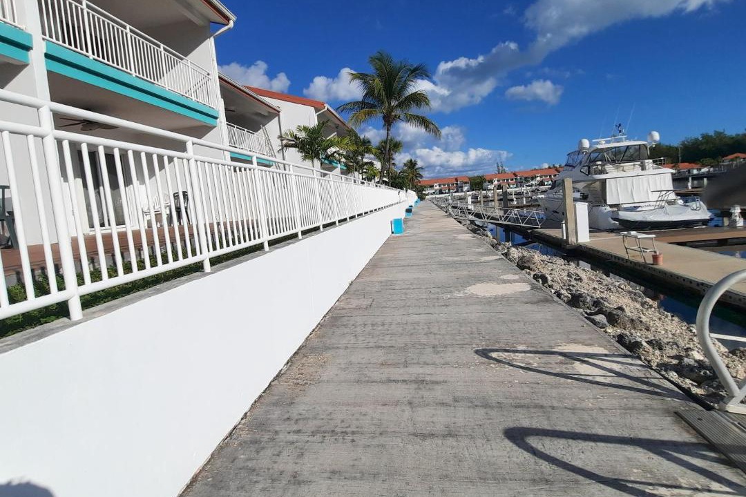 Photo of Others in South Bimini